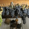 5 фактов о грузинском вине - Туристическая компания "Silk Road Group"